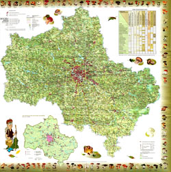 Detailed mushroom map of Moscow region.